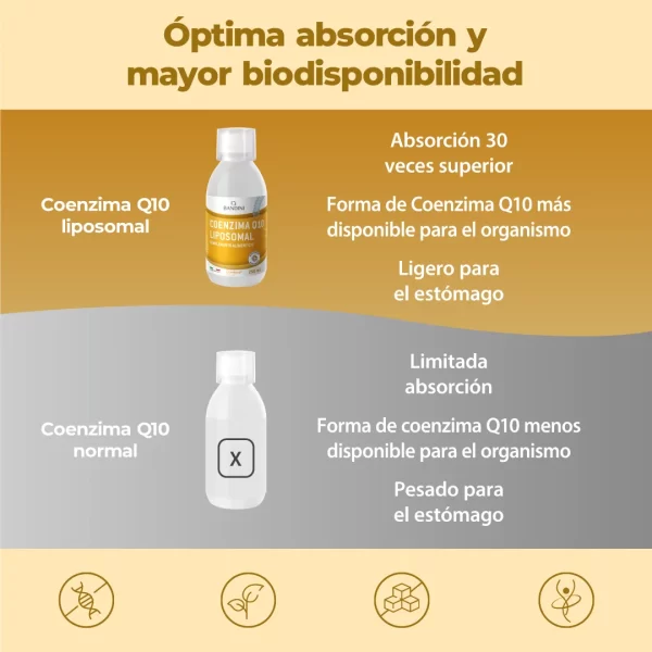 Coenzima Q10 Liposomiale.pt02