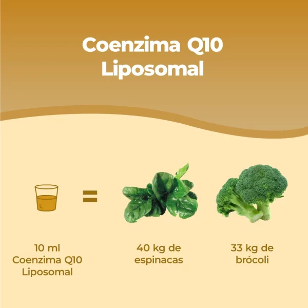 Coenzima Q10 Liposomiale.pt03