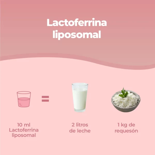 Lattoferrina Liposomiale.pt03