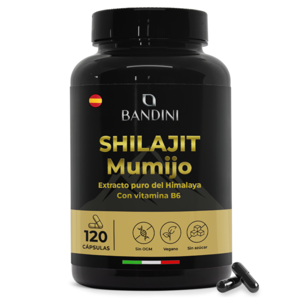 Shilajit 120 capsulas