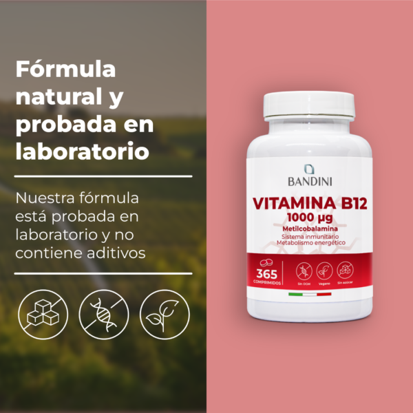 Vitamina B-Complex 365 tabletas.PT04