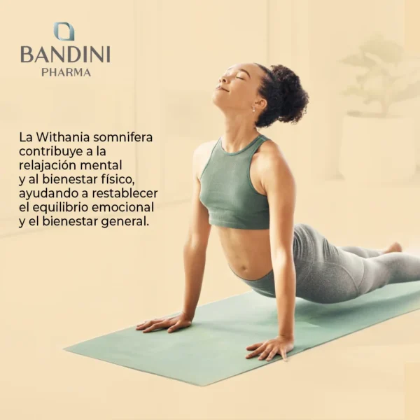 Suplemento de Ashwagandha ecológica