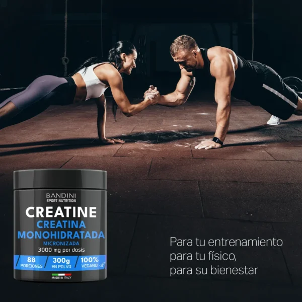 Suplemento de creatina en polvo