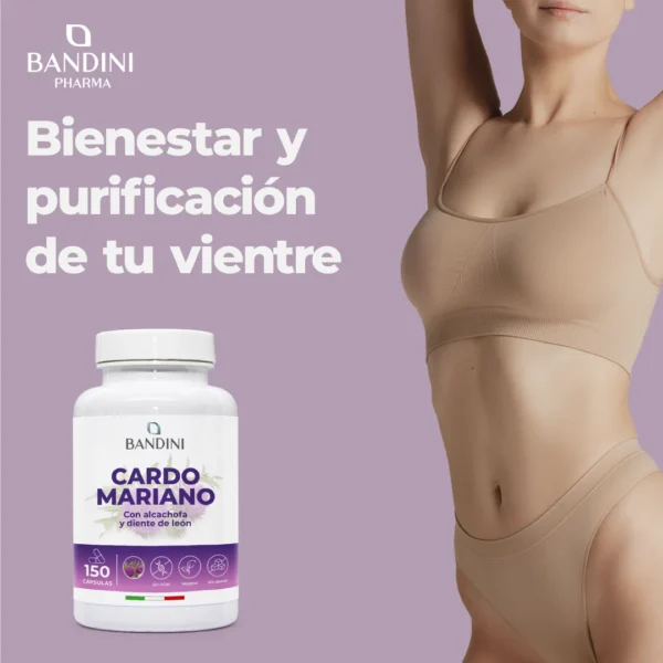Cardo Mariano - 150 Cápsulas - Imagen 2