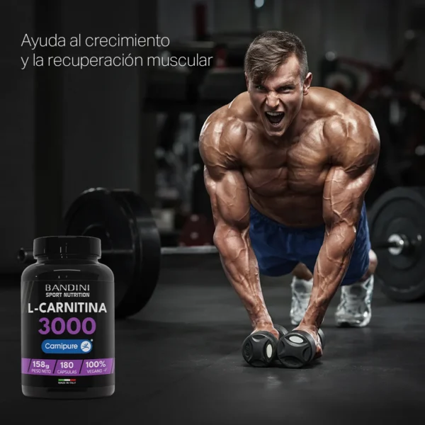 L Carnitina 3000 - 180 cápsulas - Imagen 4