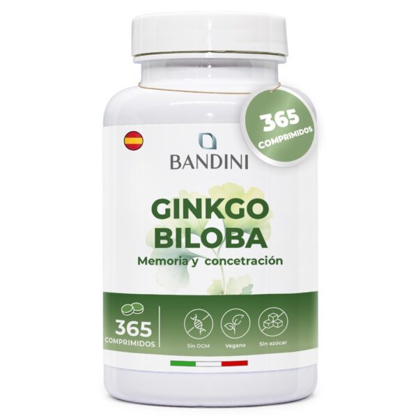 Ginkgo Biloba – 365 comprimidos