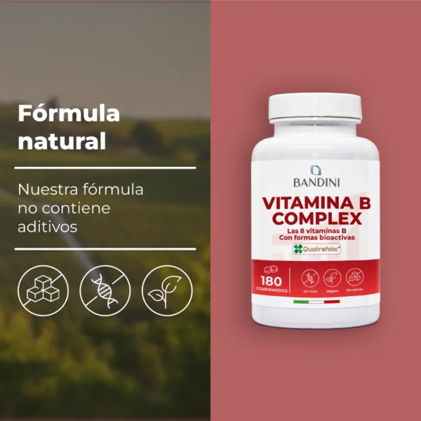 Suplemento de complejo de vitamina B