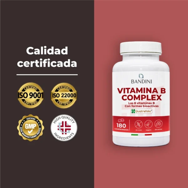 Suplemento de complejo de vitamina B