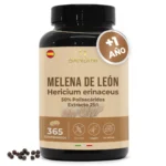 Anteprima principale