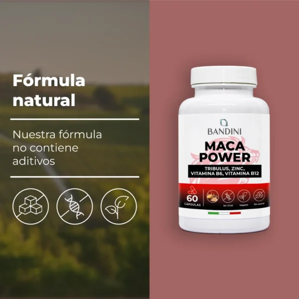 Suplemento de Maca Power