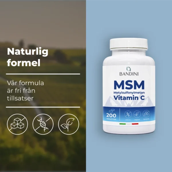 Msm 200 Cpr It.pt03