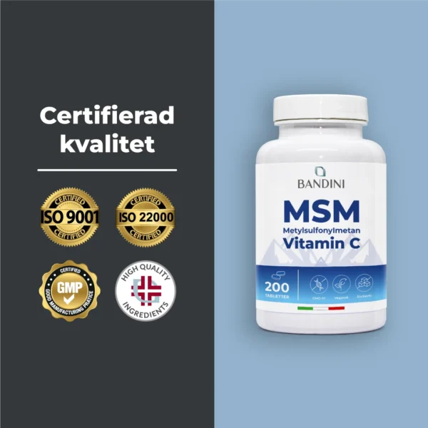 Msm 200 Cpr It.pt05