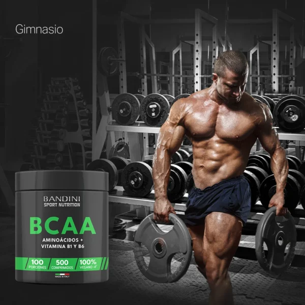 Suplemento de BCAA 500