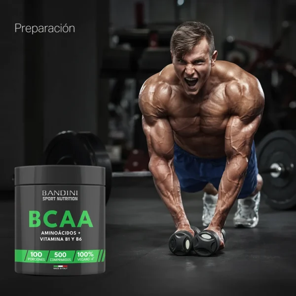 Suplemento de BCAA 500