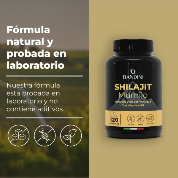 Shilajit It.pt03