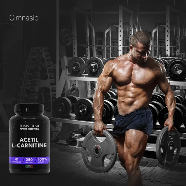 Suplemento de Acetil L-Carnitina