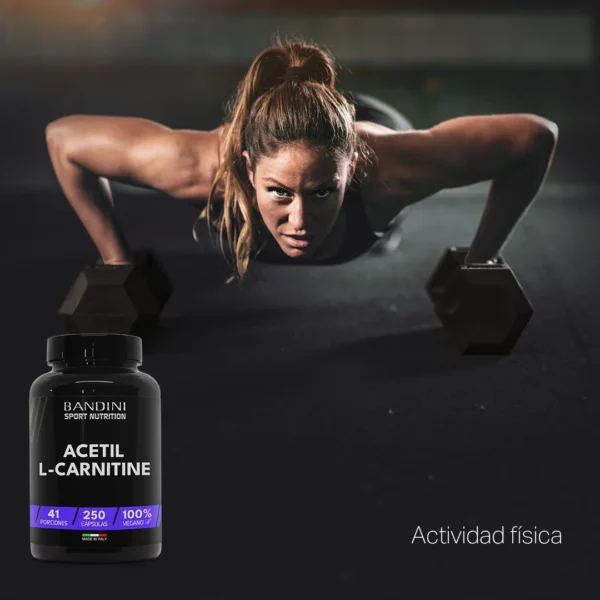 Suplemento de Acetil L-Carnitina