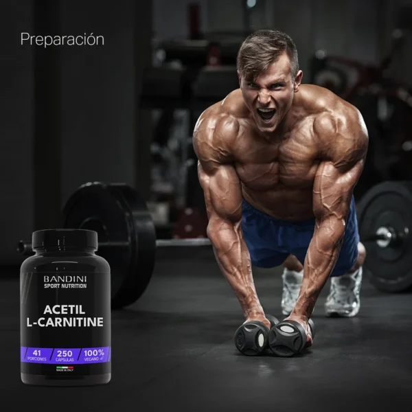 Suplemento de Acetil L-Carnitina