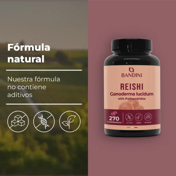 Suplemento de reishi