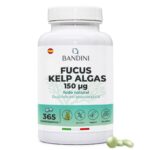 Anteprima principale