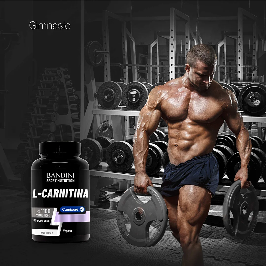 l carnitine bulk powders BulkSupplements L-Carnitine L-Tartrate Powder, 1g Per Serving - 250 Grams  (8.8 oz)