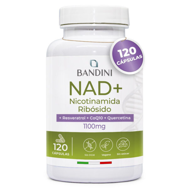 NAD+ liposomal – 120 Cápsulas