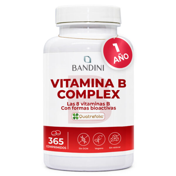 Vitamina B Complex – 365 Comprimidos